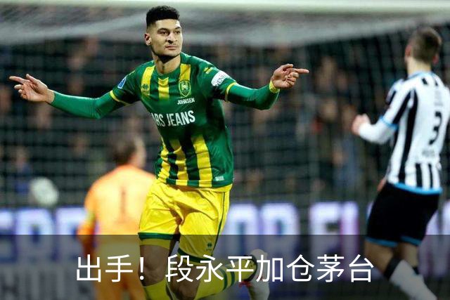 出手！段永平加仓茅台